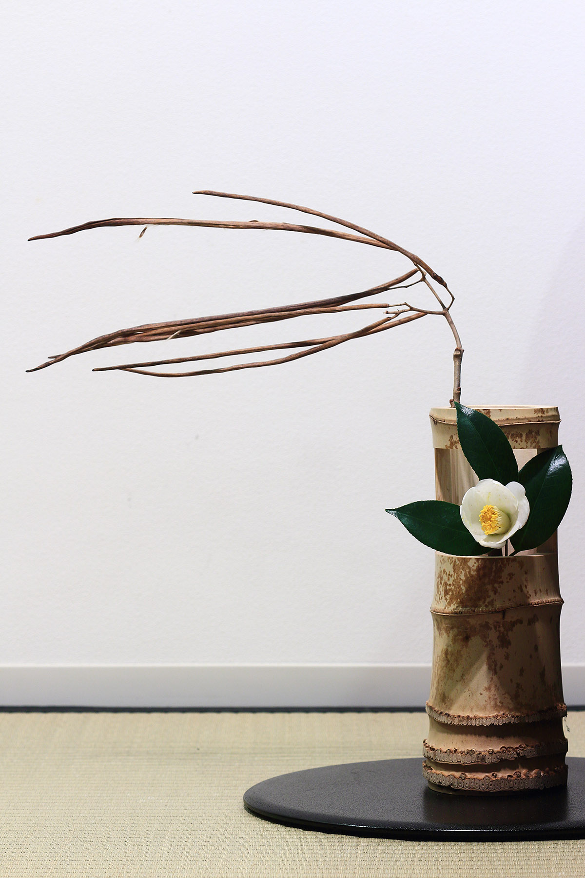 20150110_tsubaki_kisasage1_1200