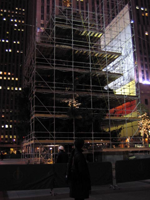 image of cristmas tree