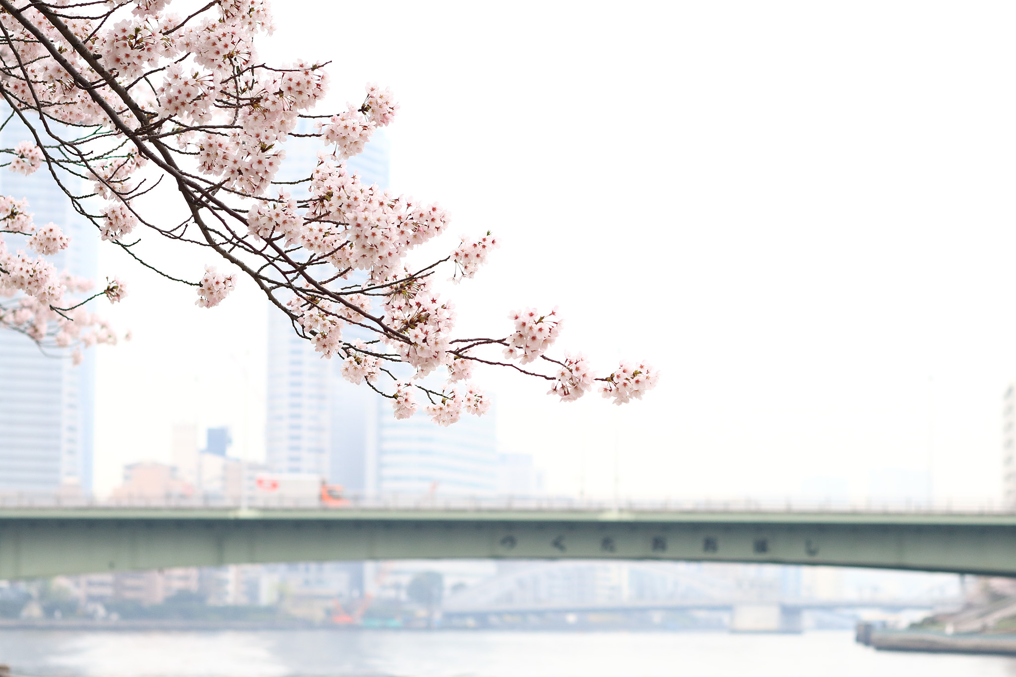 20150401_tsukishima_cb19_2048