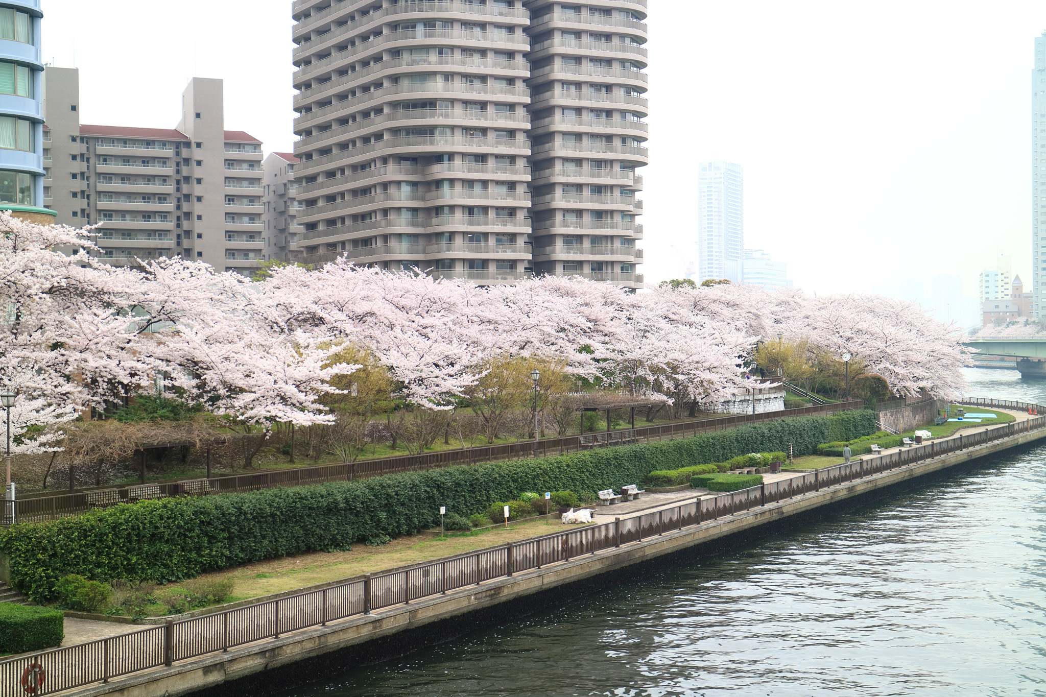 20150401_tsukishima_cb21_2048