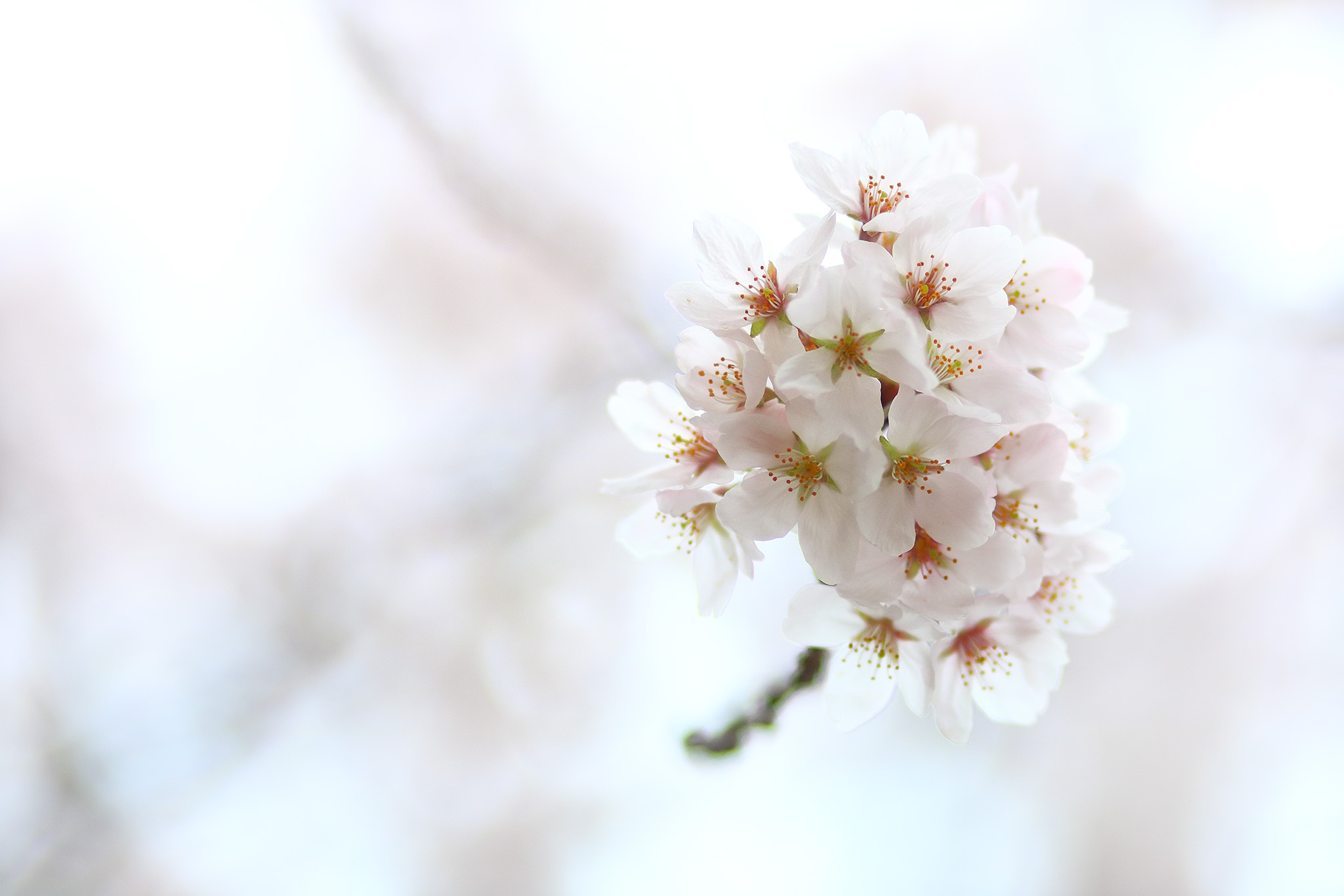 20150401_tsukishima_cb2_2048