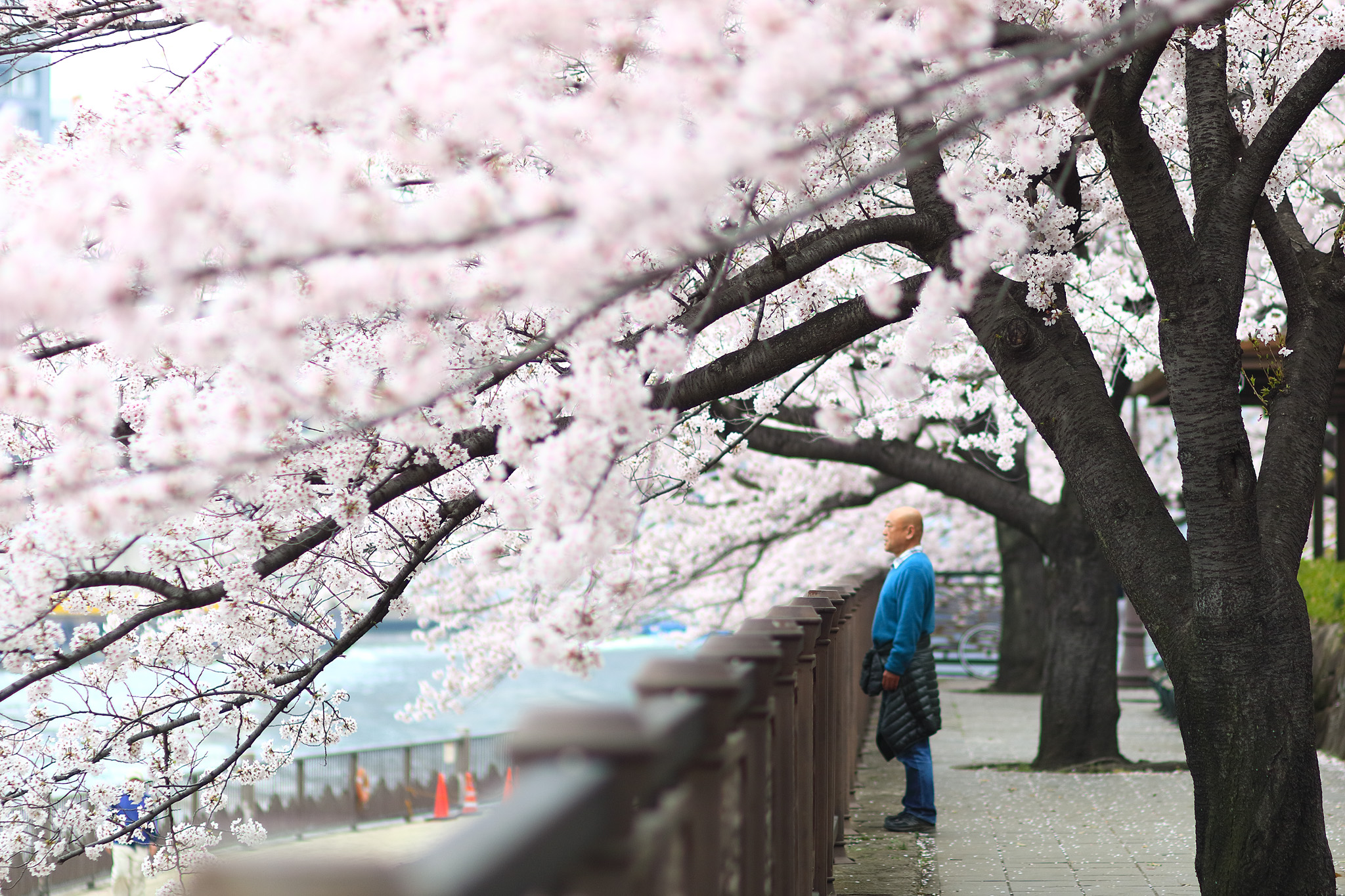 20150401_tsukishima_cb7_2048